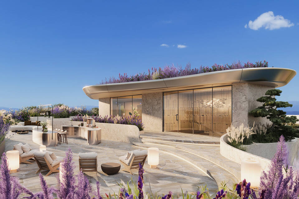 Lavender garden on the roof